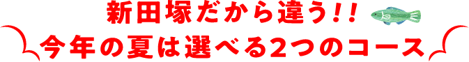 新田塚だから違う!!今年の夏は選べる2つのコース